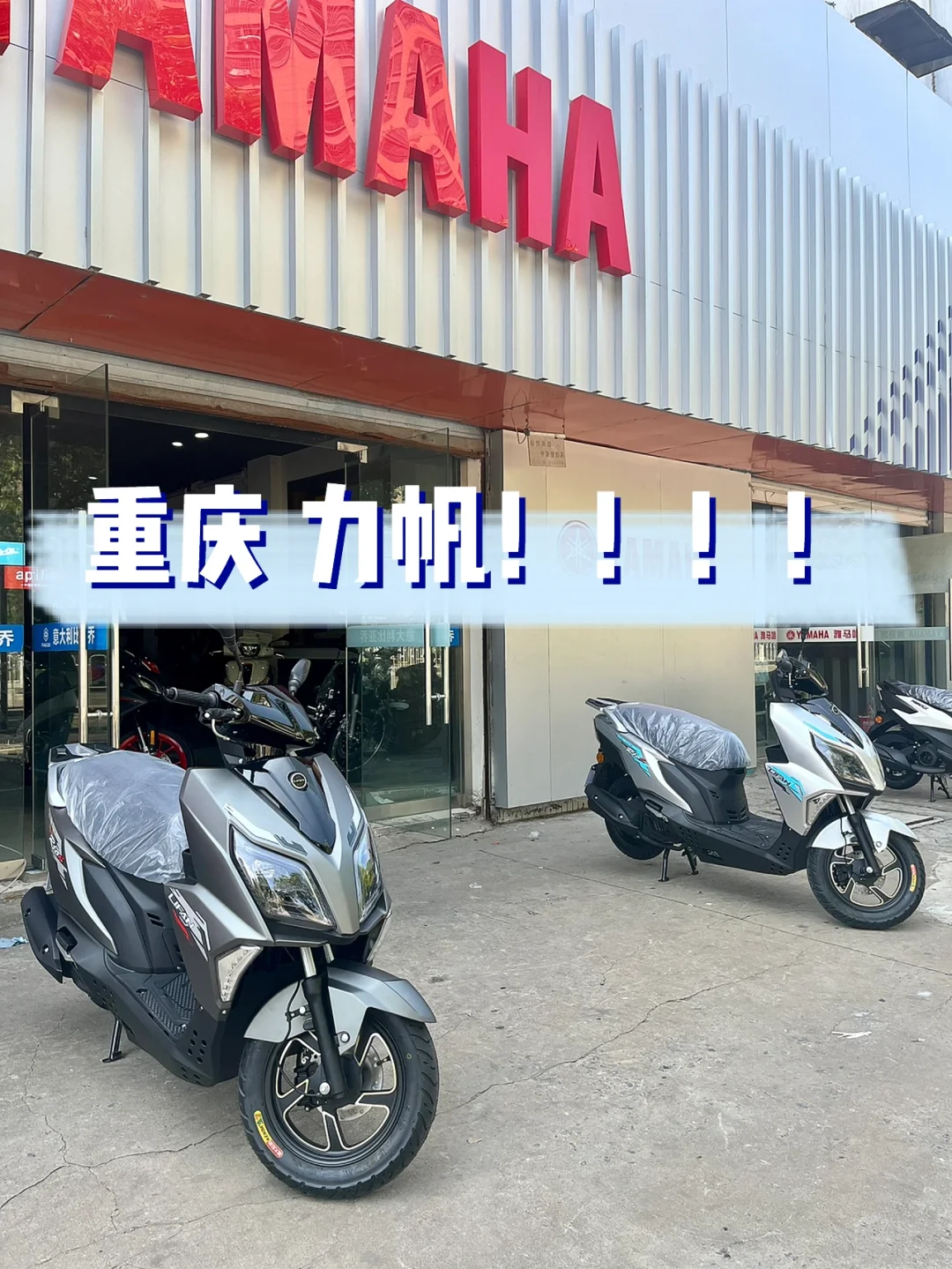 熊猫TV-惊险斗法！重庆力帆紧揪青岛黄海保回春的简单介绍