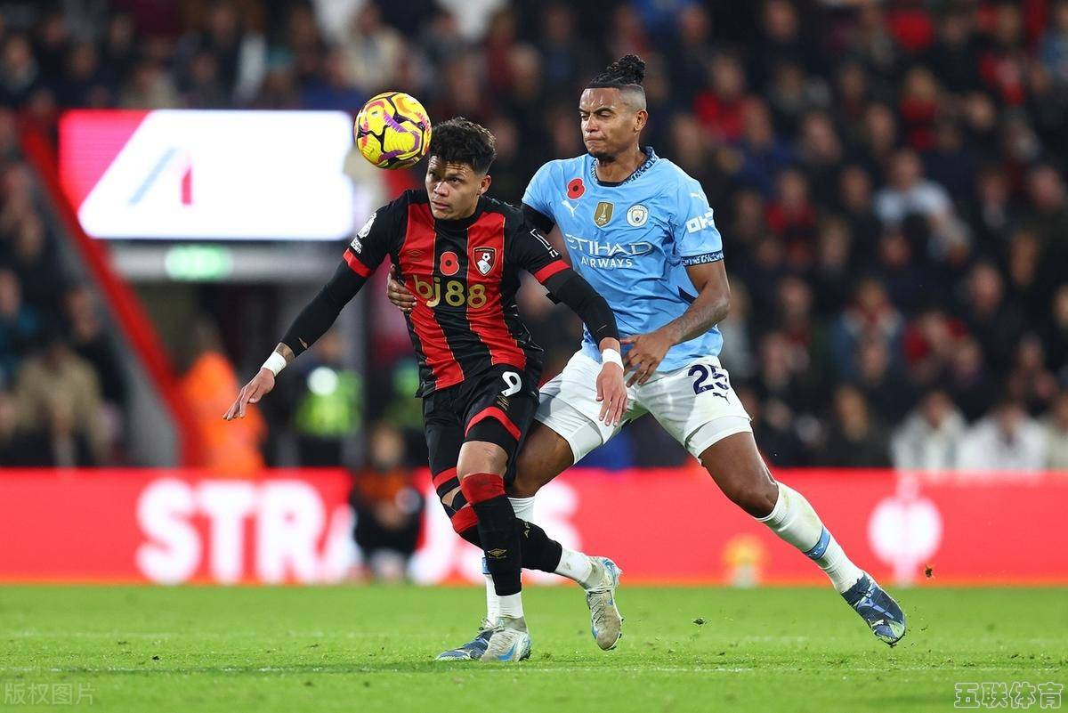 熊猫体育官方-伯恩茅斯取得关键胜利,实现保级