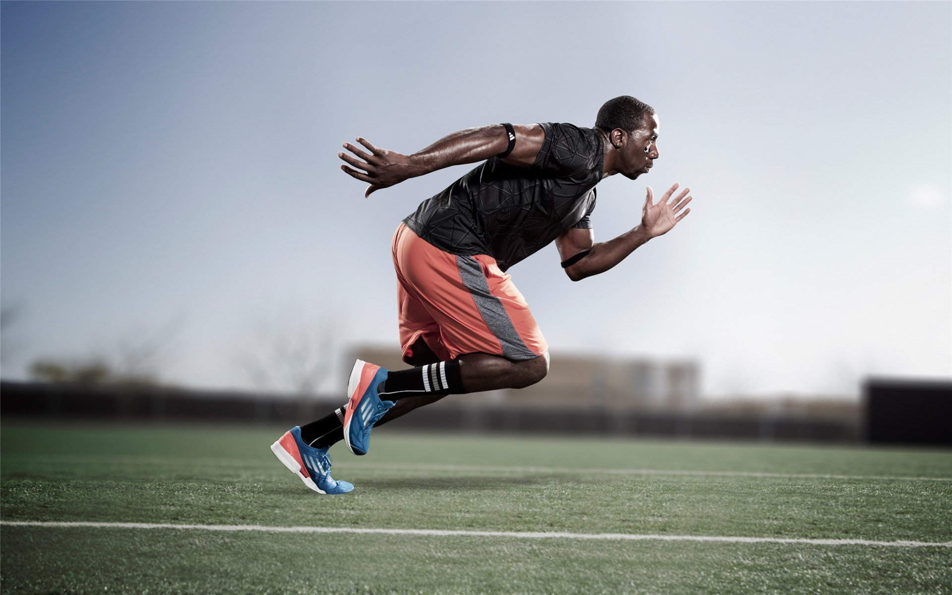 熊猫体育官方网站-新星闪耀与战术革命，加克波的蜕变与勒沃库森的启示